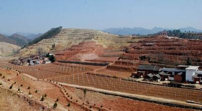 1.76金马复古传奇网址